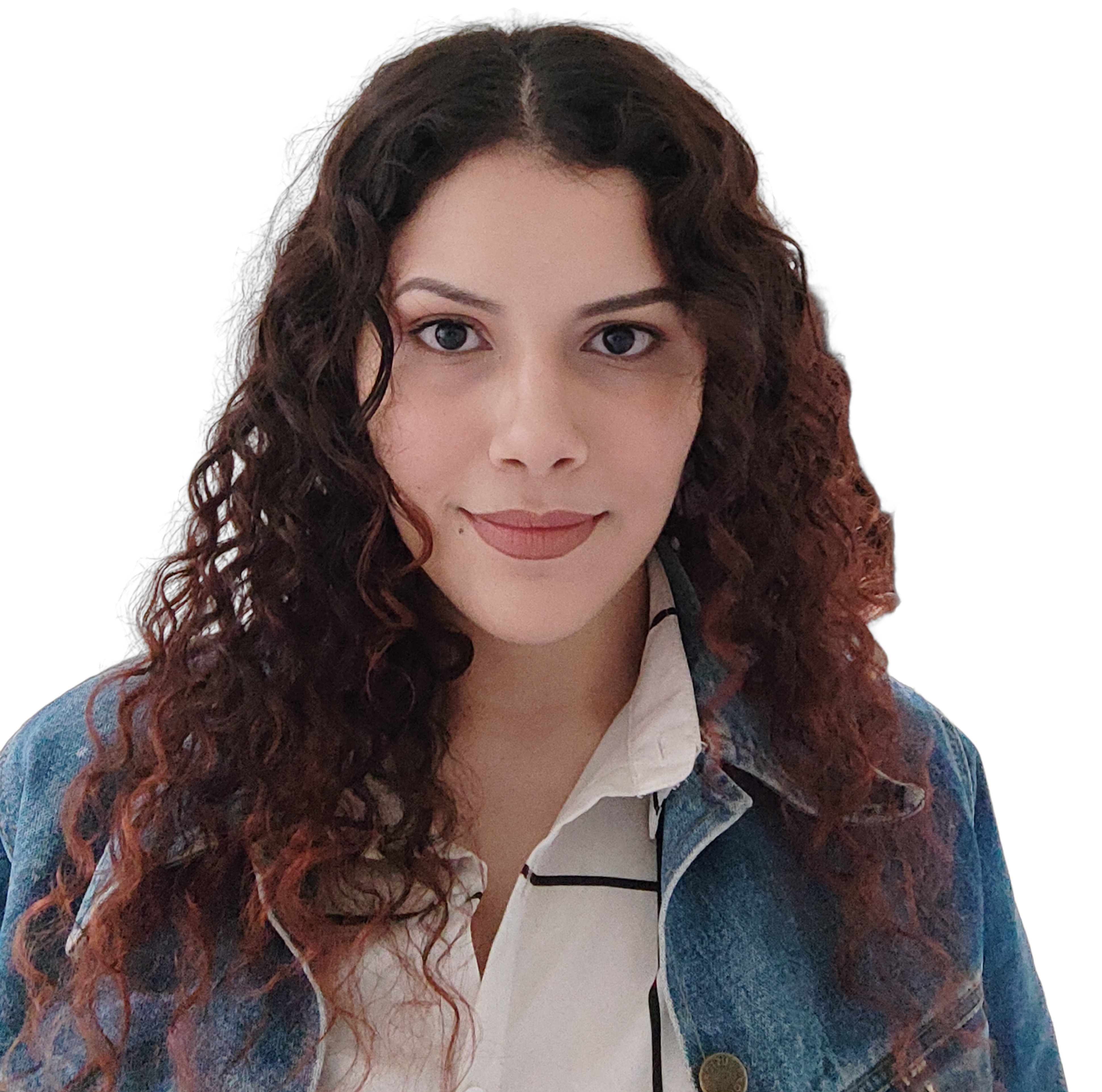 perfil